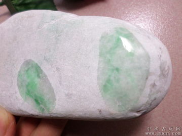 高品質(zhì)全透緬甸A貨陽綠翡翠原石 水好種好的珍品