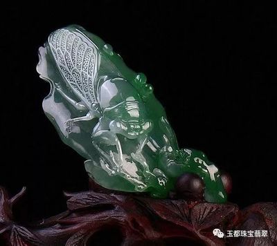 什么樣的翡翠才有收藏價值？